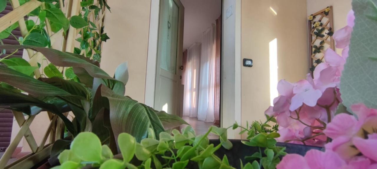 Il Tetto Dei Sogni Apartment Пистоя Екстериор снимка